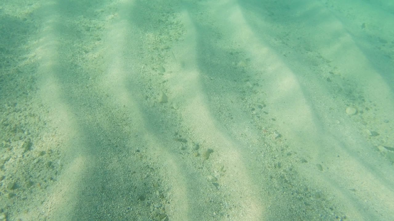 A slightly shifted underwater view shows green-blue water, pale sandy ridges, and scattered bottom texture in Los Cabos with no visible people.