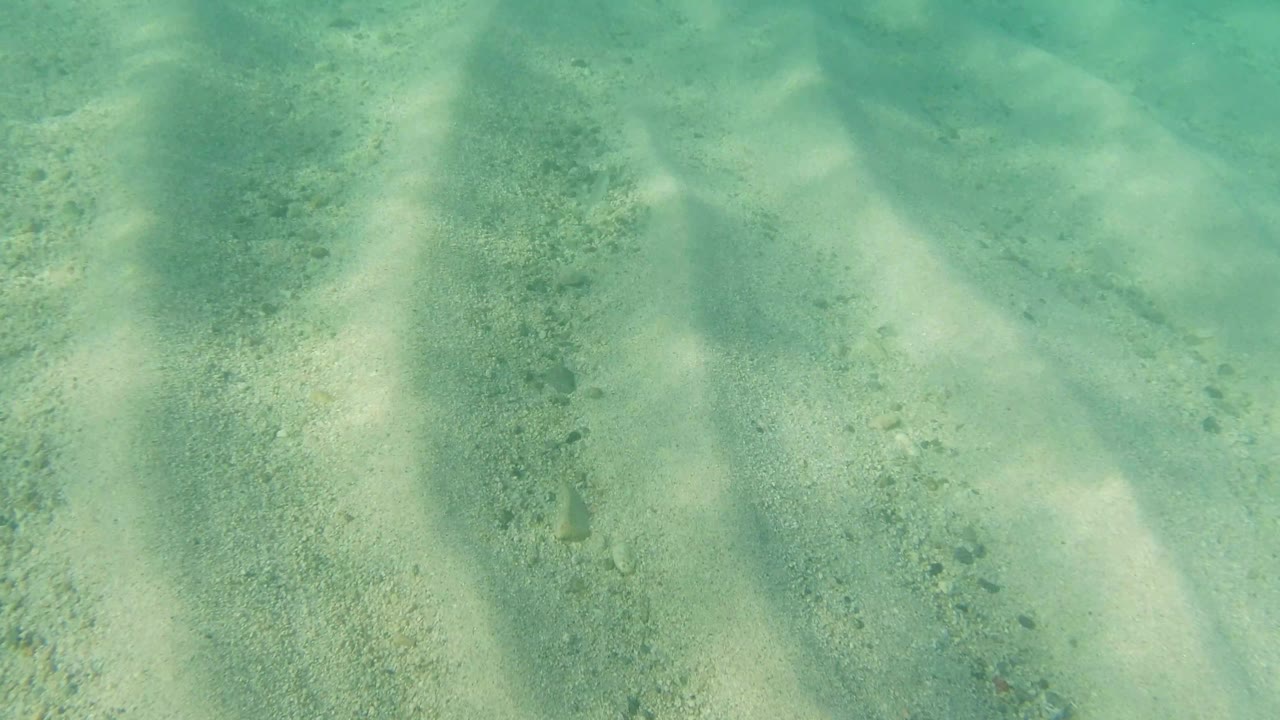 Pale seabed seen through clear turquoise water
