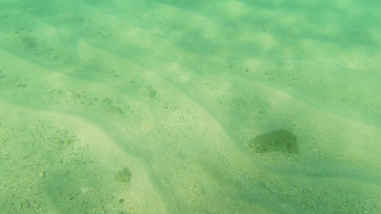 Clear green water over rippled sandy bottom.