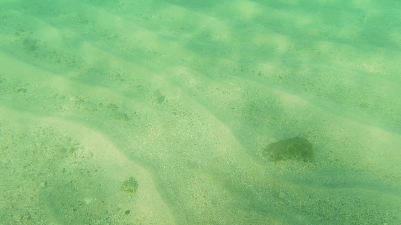 Sunlit transparent water shows pale sand ridges, scattered specks, and a darker patch near the lower frame in Los Cabos, Mexico, with no visible people.