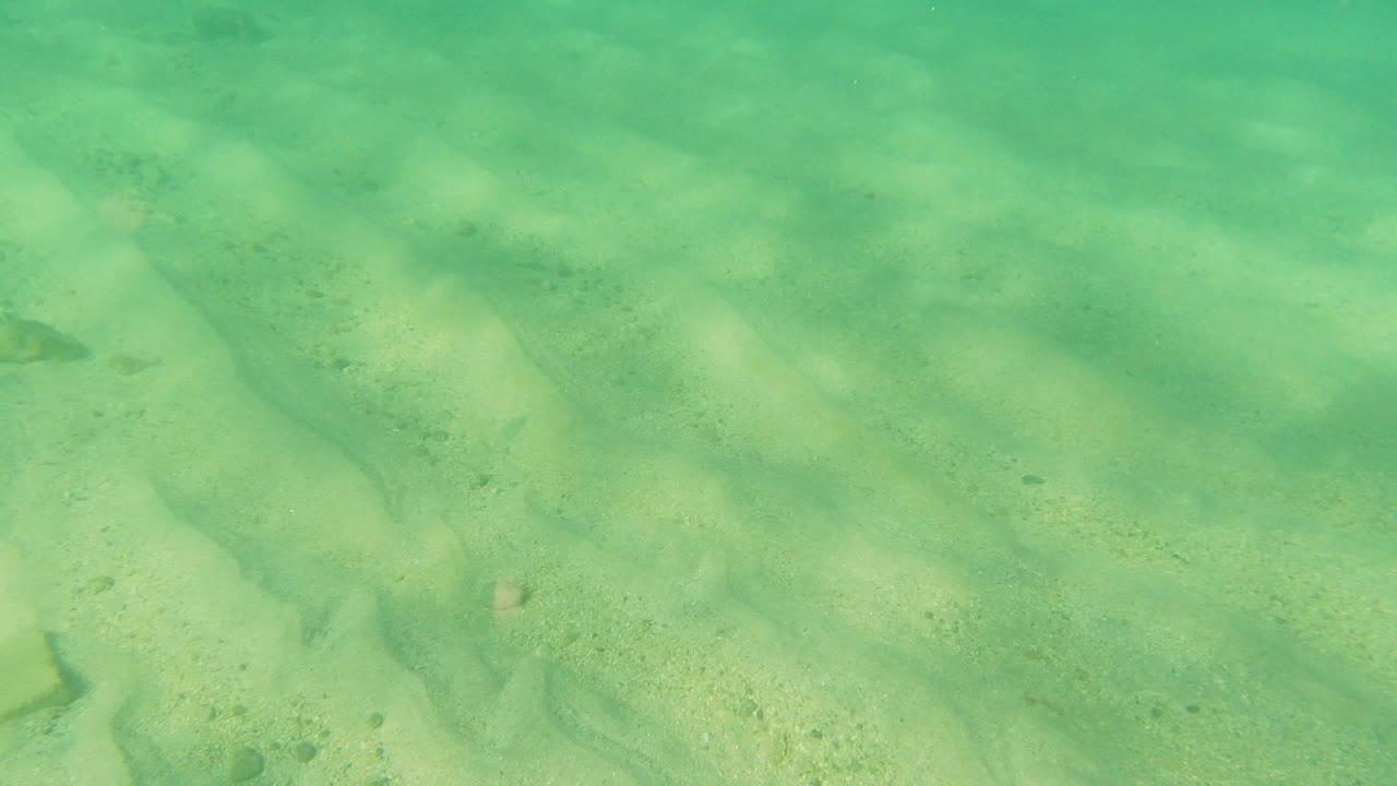Shallow turquoise water crossing a sandy seabed.