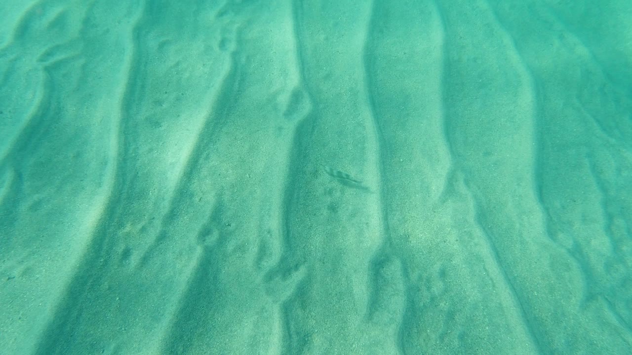 Overhead view of clear turquoise water in Los Cabos, Mexico, with rippled sand patterns and tiny dark fish-like shapes under the surface, no visible people.