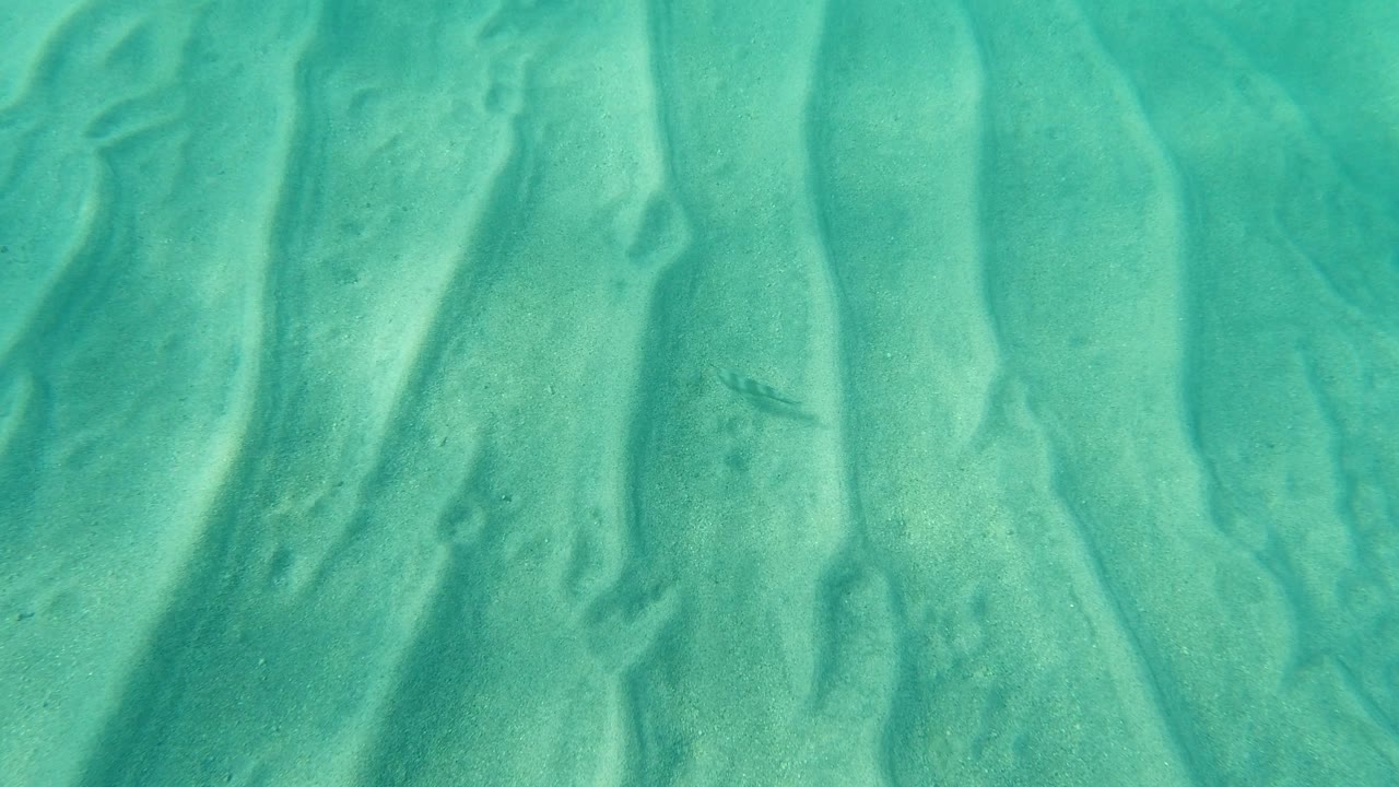Clear green-blue water in Los Cabos, Mexico, fills the frame with vertical sand ridges and a few faint tiny fish-like marks beneath the surface, no visible people.