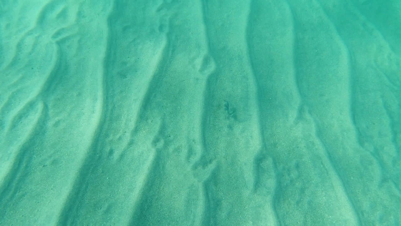 Overhead shallow water with pale sand channels and small dark shapes.