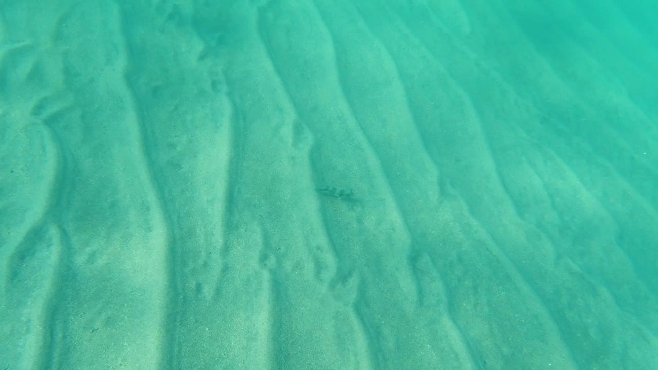 At 0:00 in Los Cabos, Mexico, clear turquoise water reveals rippled sand and a small dark fish or marine animal near the center, with no visible people.