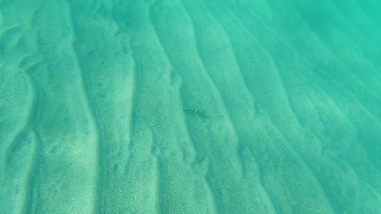 At 0:01 in Los Cabos, Mexico, the frame looks down through green-blue water at sand ridges and a small dark fish-like shape below center, with no visible people.