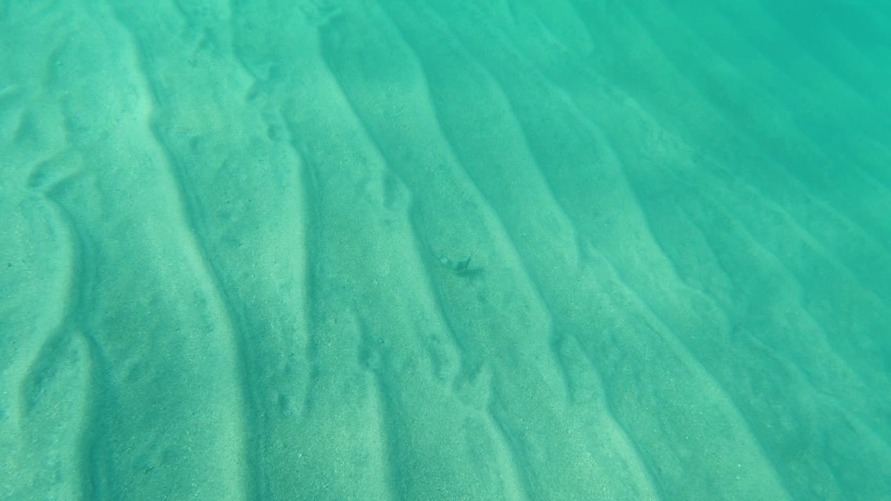 Blurry underwater sand channels with a small dark marine animal near the middle.