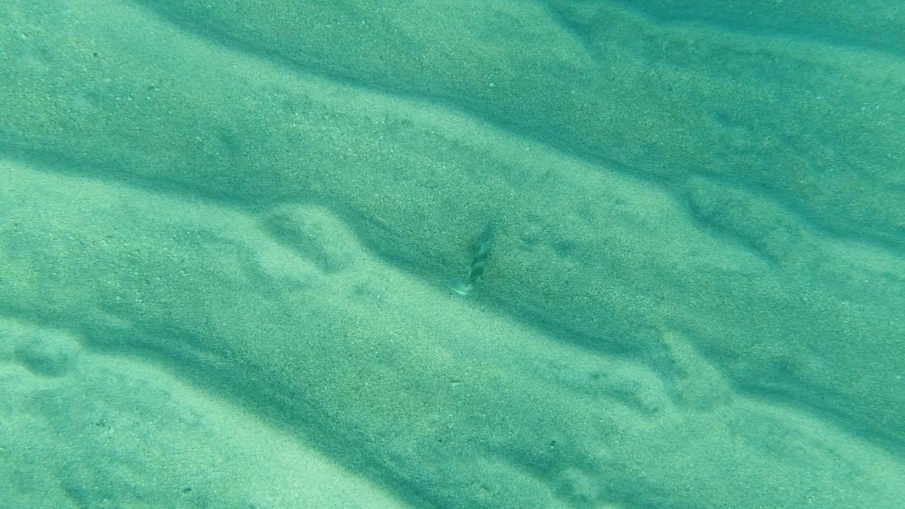 At 0:00, clear turquoise water in Los Cabos shows pale rippled sand and small dark marks on the seabed, with no visible people.