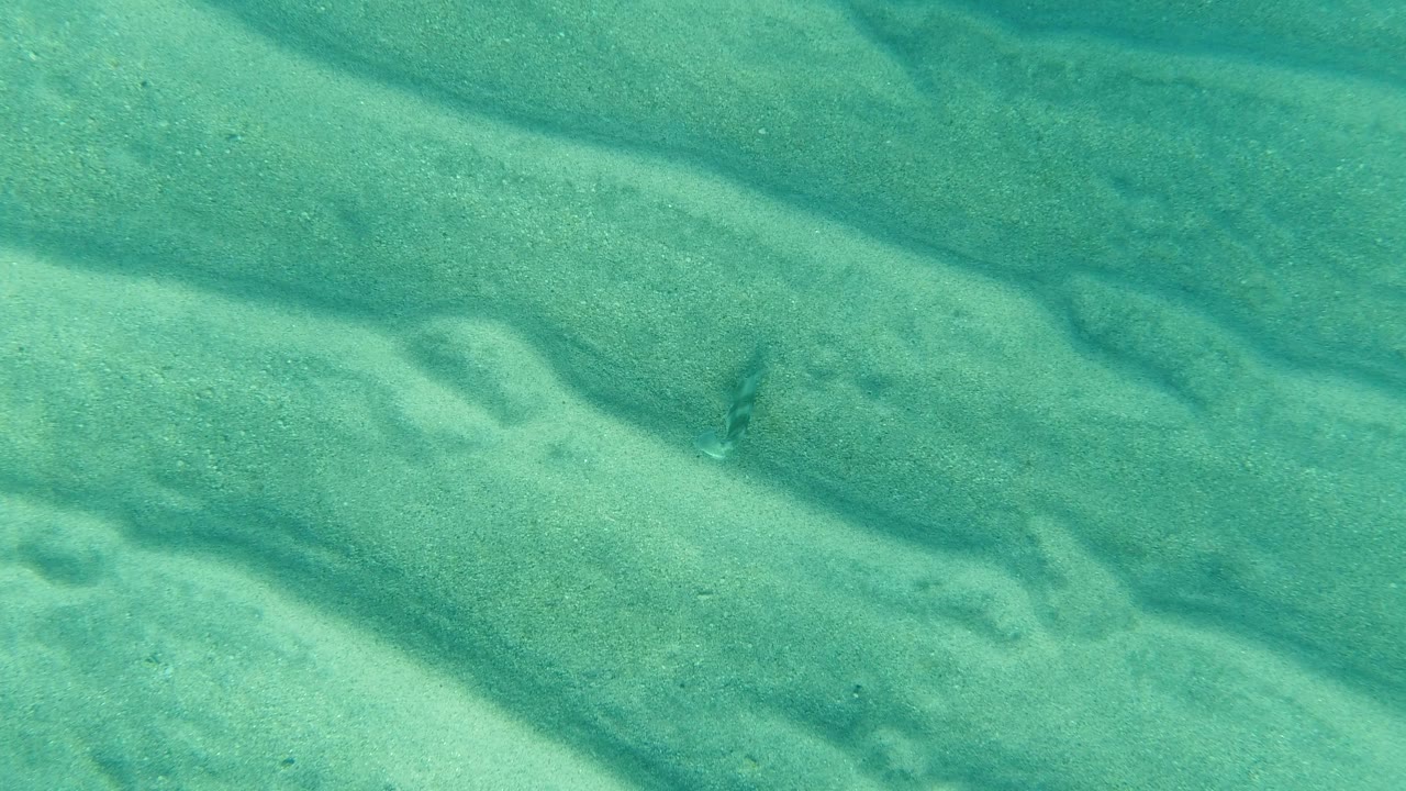 At 0:01, the Los Cabos seabed fills the frame with diagonal sand ripples and faint darker patches under green-blue water, with no visible people.