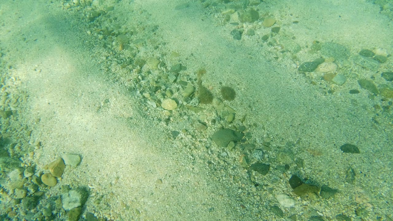 Clear green-blue water over a sandy ocean floor in Los Cabos, Mexico, with scattered rocks and no visible people.