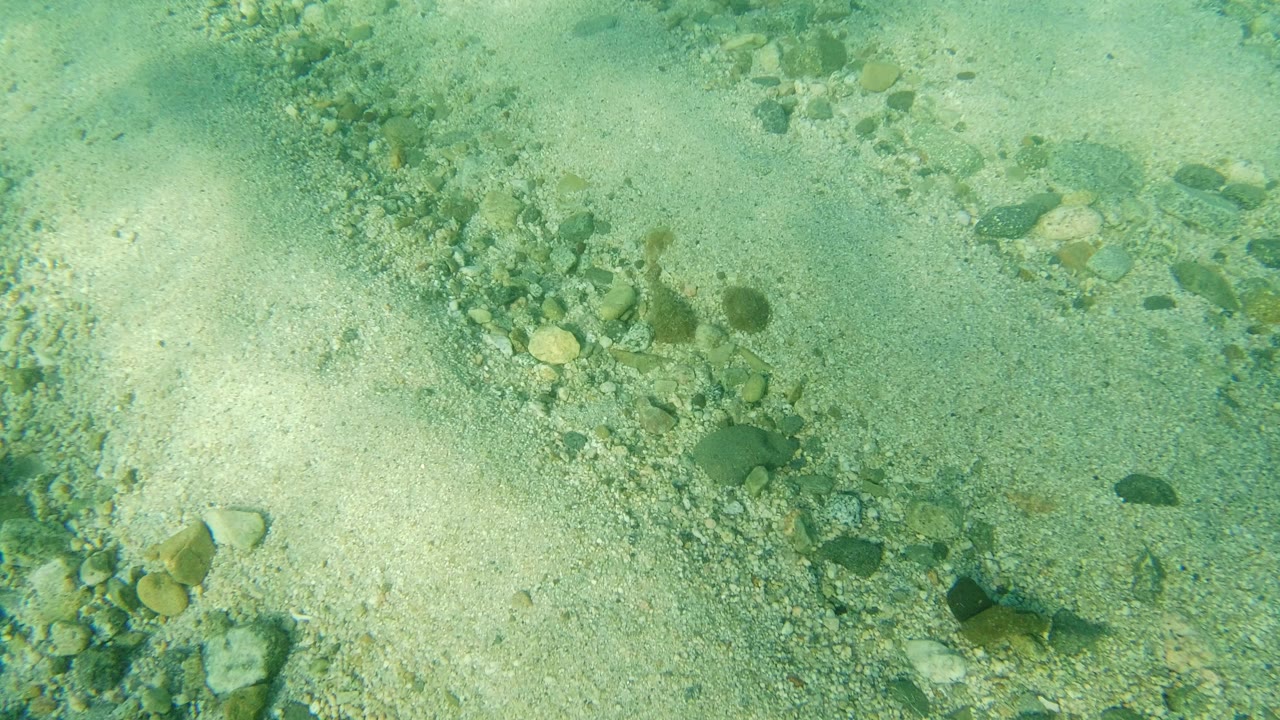 A diagonal band of small rocks crosses the sandy ocean floor under clear Los Cabos water, with no visible people.