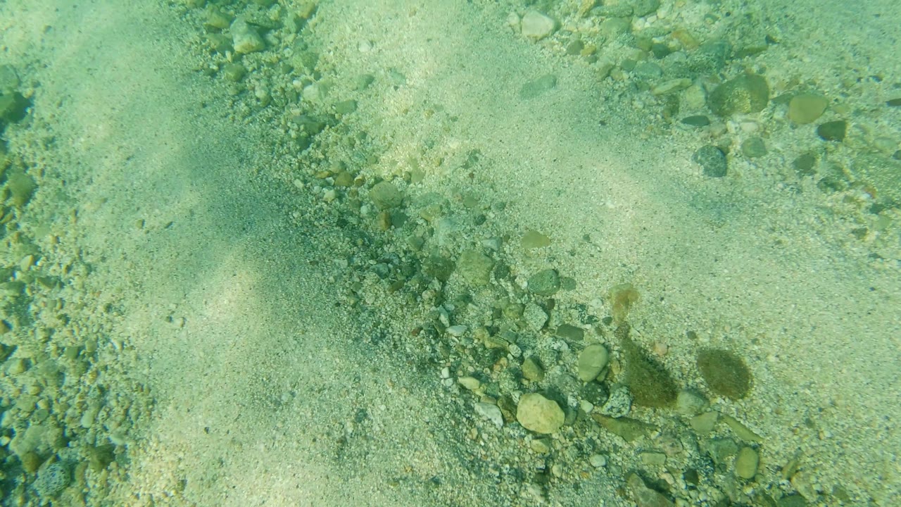 Underwater sand bed with pebbles and larger stones.