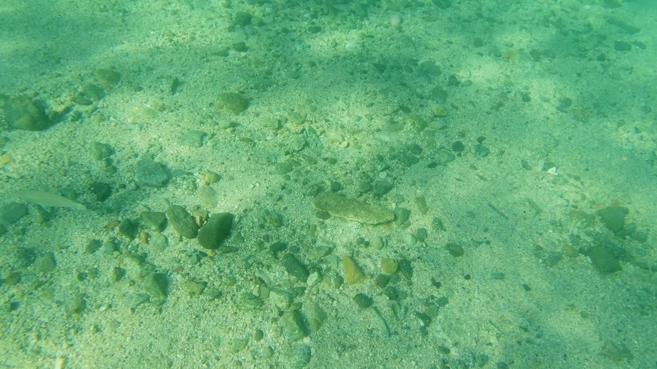 Underwater view in Los Cabos, Mexico, showing turquoise water over pale sand and scattered rocks, with no visible people.