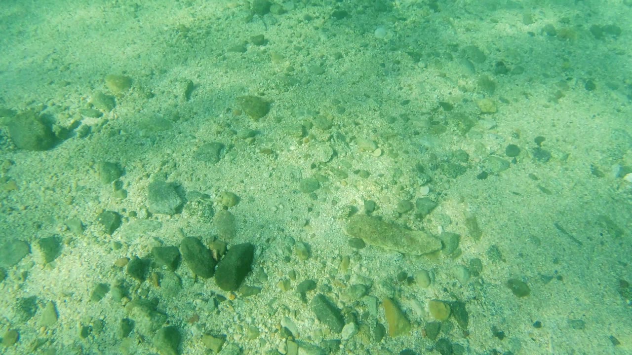 Rocky sand bottom seen through clear turquoise water