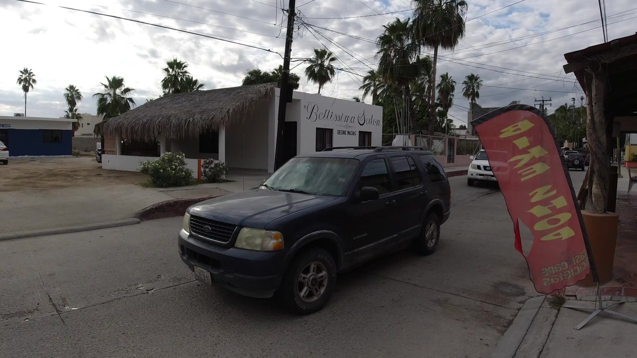 Dark SUV passing a roadside animal scene with palms and storefronts