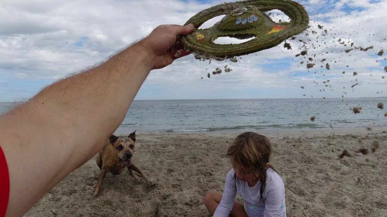 In Los Cabos, Mexico, the rope disc leaves the adult hand with clumps of sand in the air, while the dog watches from the beach and the child remains seated below the horizon.