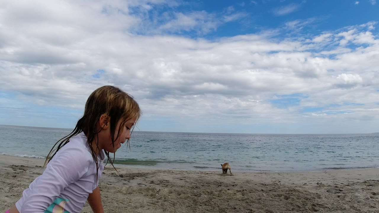 Girl at the edge of frame on a sandy beach with a dog near the water.