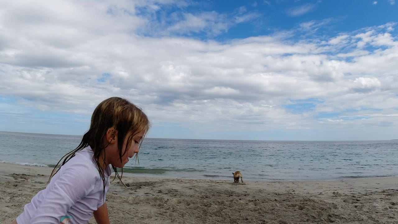 The girl remains close in the foreground on the Los Cabos beach while the dog is farther away near the waterline and low waves roll behind it.