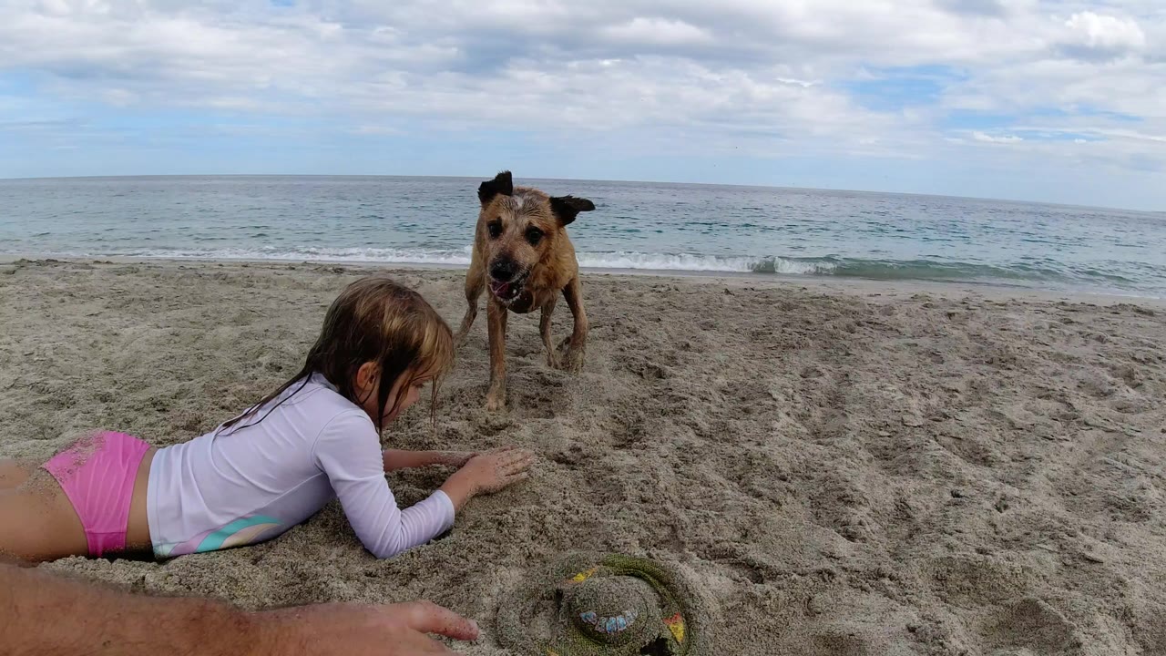 Girl lying on beach sand with a dog facing her near the ocean.