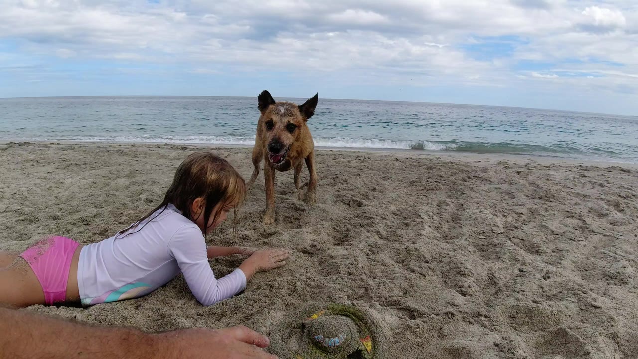The dog remains centered on the beach in Los Cabos, Mexico, with the girl low in the foreground and the ocean horizon behind them.