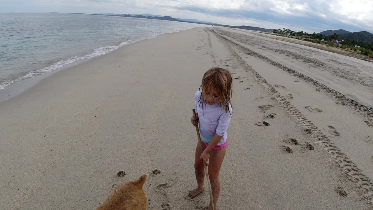 Young girl walking on a sandy beach beside the ocean with a partial dog at the bottom edge.