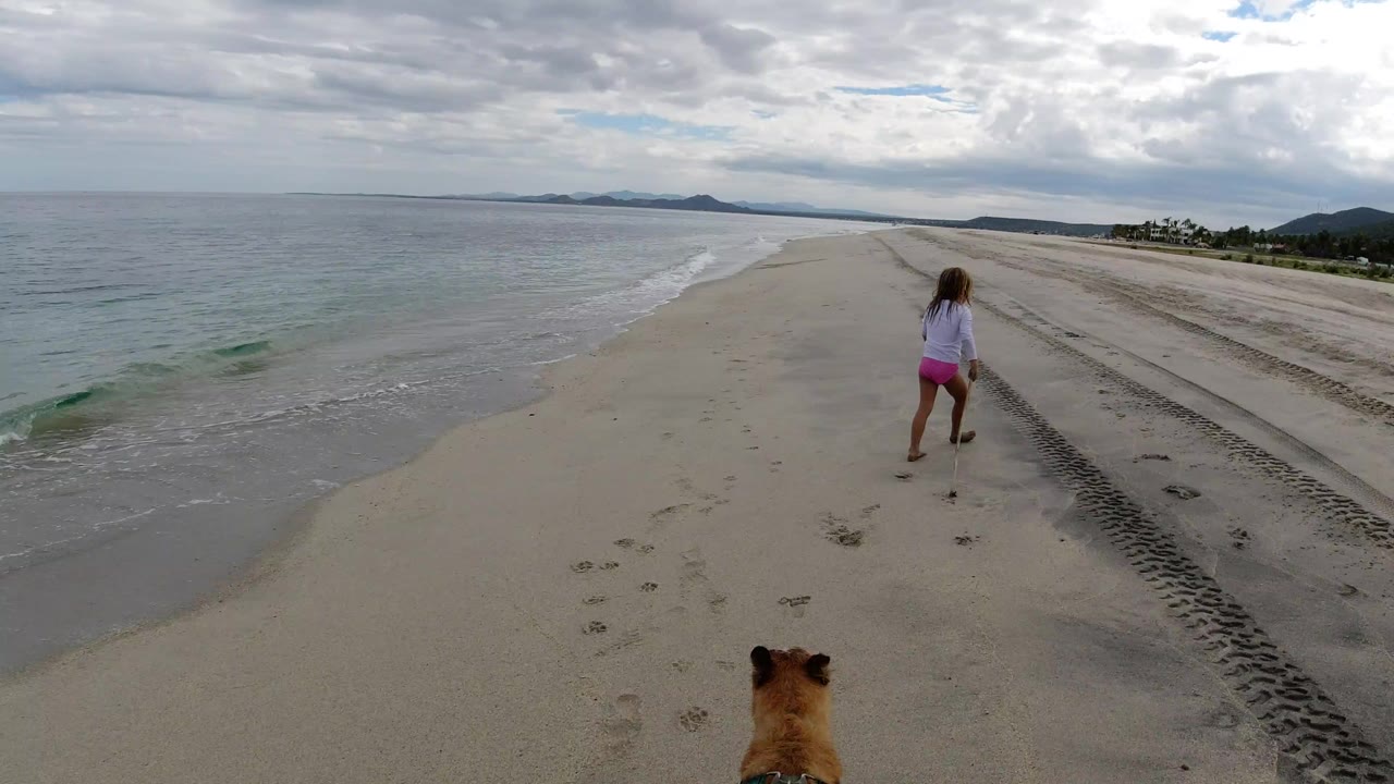 Girl running on a beach with ocean and dog ears in foreground.