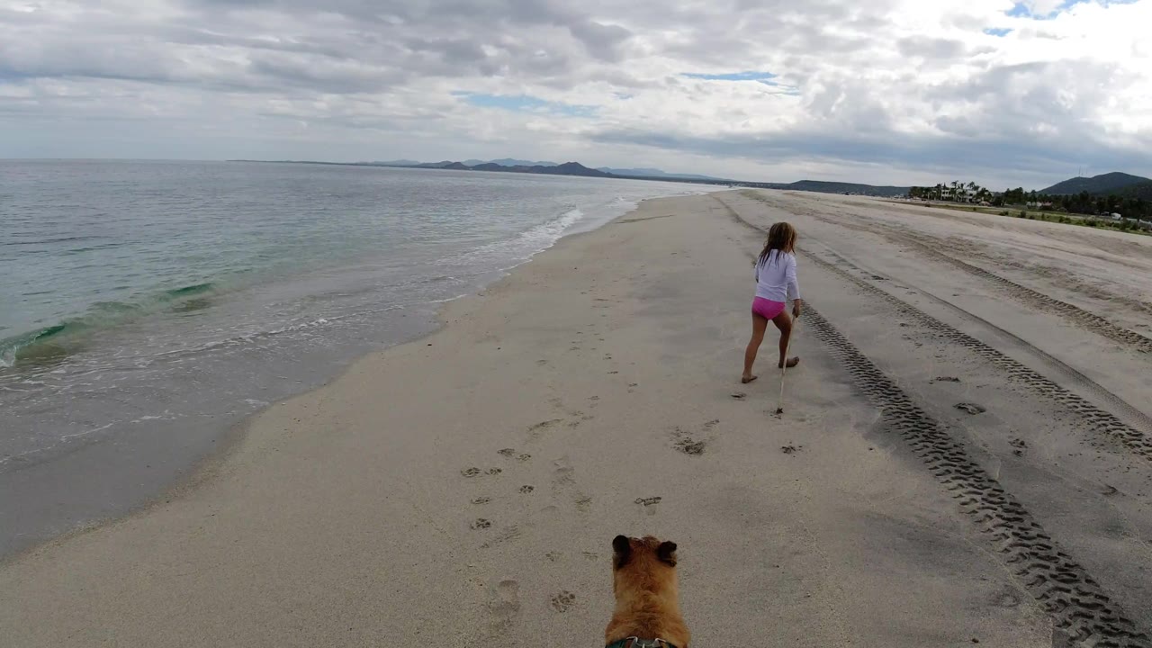 At 0:01, the girl continues down the Los Cabos shoreline with a stick in hand, pale surf on the left, tire tracks on the right, and the dog still partly visible at the bottom.