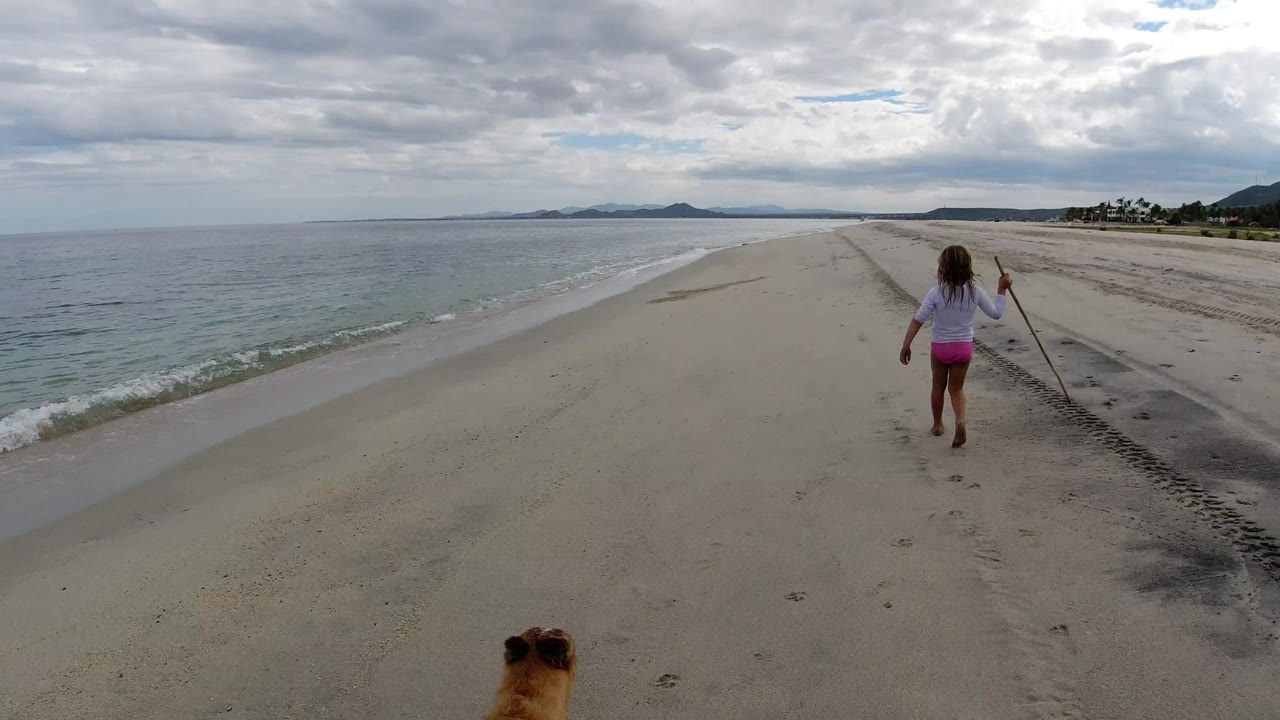 Girl with a stick walking down a sandy beach with a dog partly visible