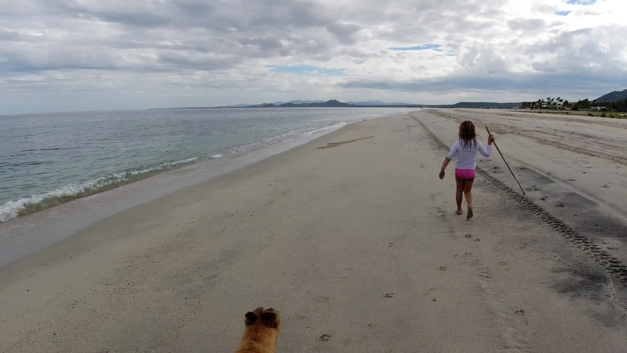 The girl remains centered farther down the Los Cabos beach with the stick in one hand, while the dog is cropped at the lower edge and a small wave line curves along the left side.