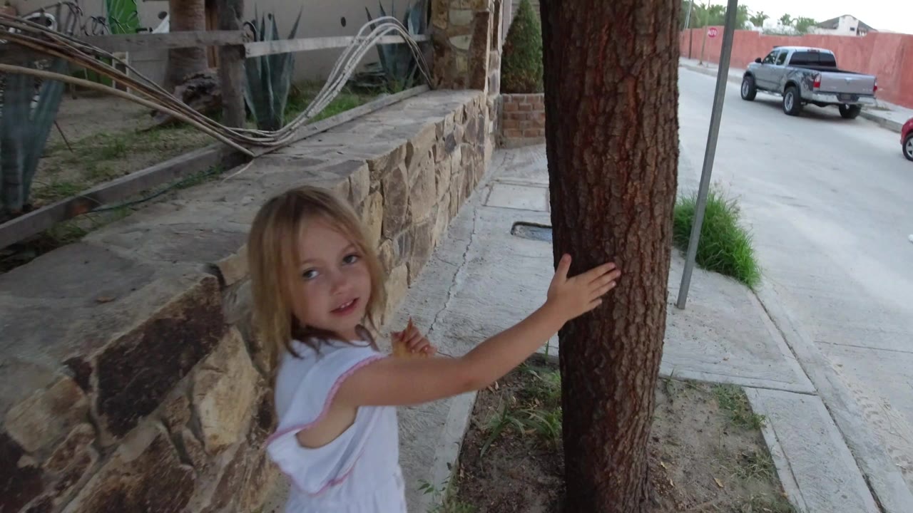 Young blonde child in a light dress holds a tree beside a stone wall and sidewalk in Los Cabos, Mexico, with parked vehicles and a red wall in the background.