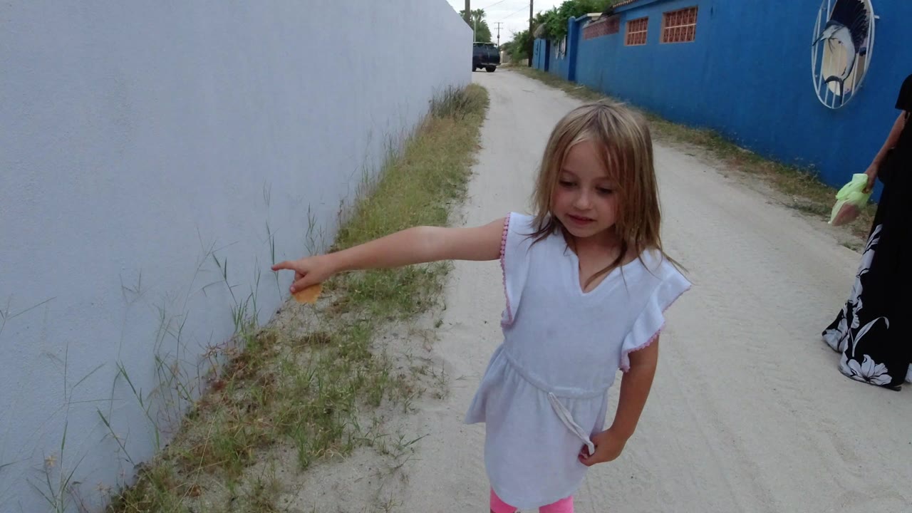 In Los Cabos, Mexico, a blonde child in a white top points down toward grass at the base of a tall white wall while an unpaved lane and blue wall recede behind her.