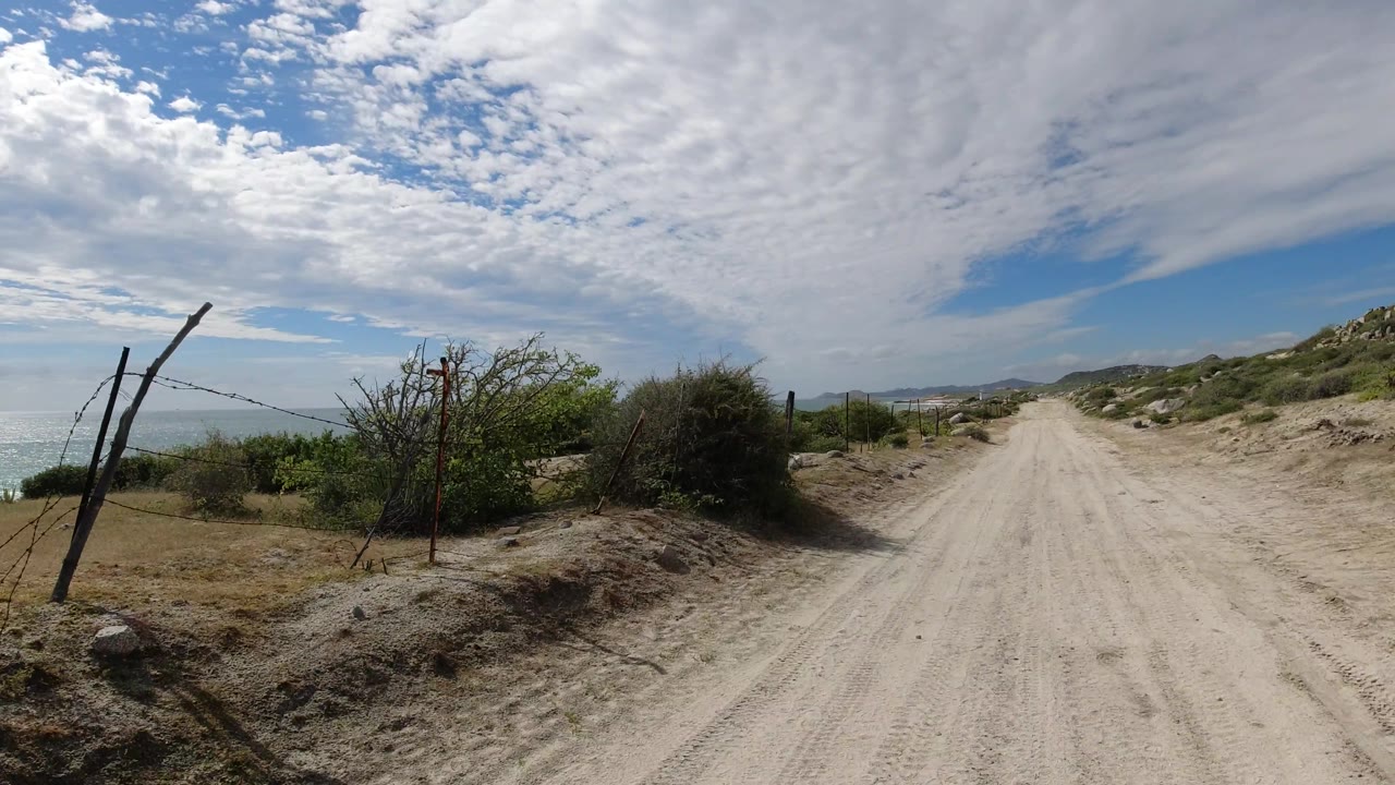 Wire fence and brush beside a sandy road near the sea.