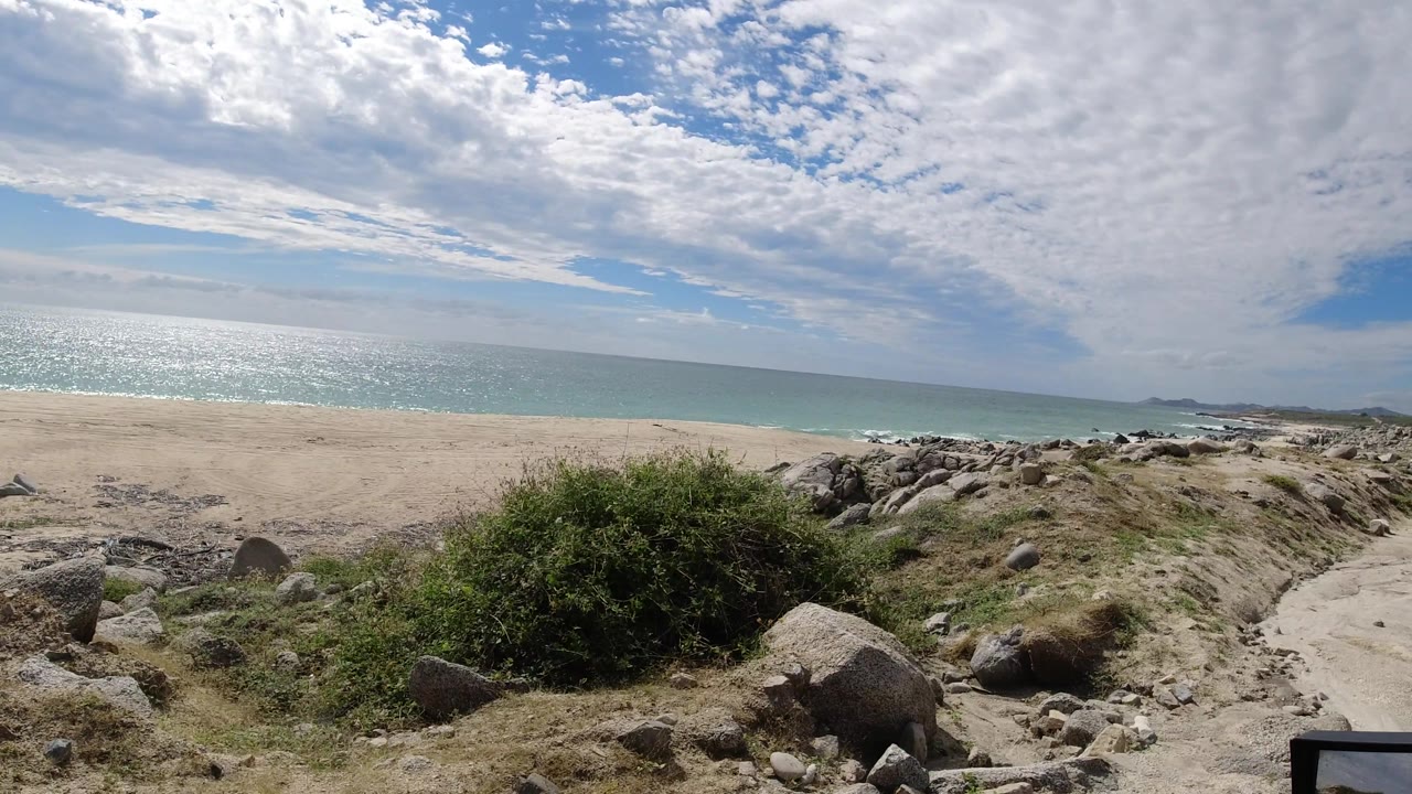 Ocean horizon behind scrub-covered cliff edge.