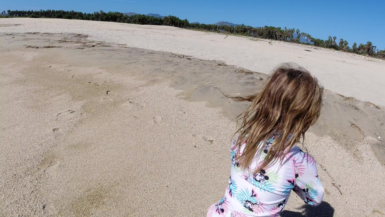 Blonde child seen from behind on a sunny sandy beach.