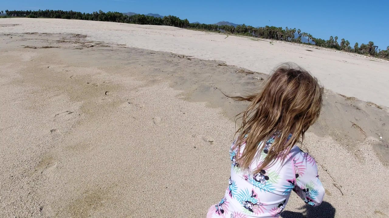 The child remains near the lower frame while pale beach sand fills most of the view in Los Cabos, Mexico, with a dark palm line across the background.