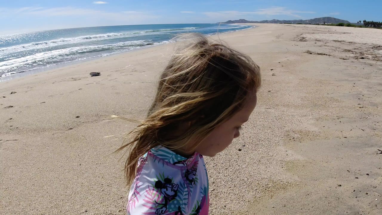 Blonde child walking on a sandy beach beside ocean surf.