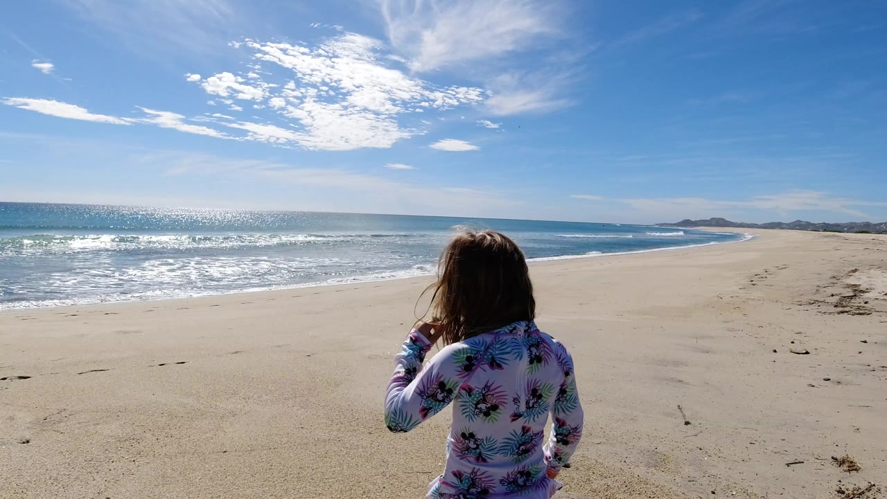 Young girl seen from behind walking on a sunny beach beside ocean waves.