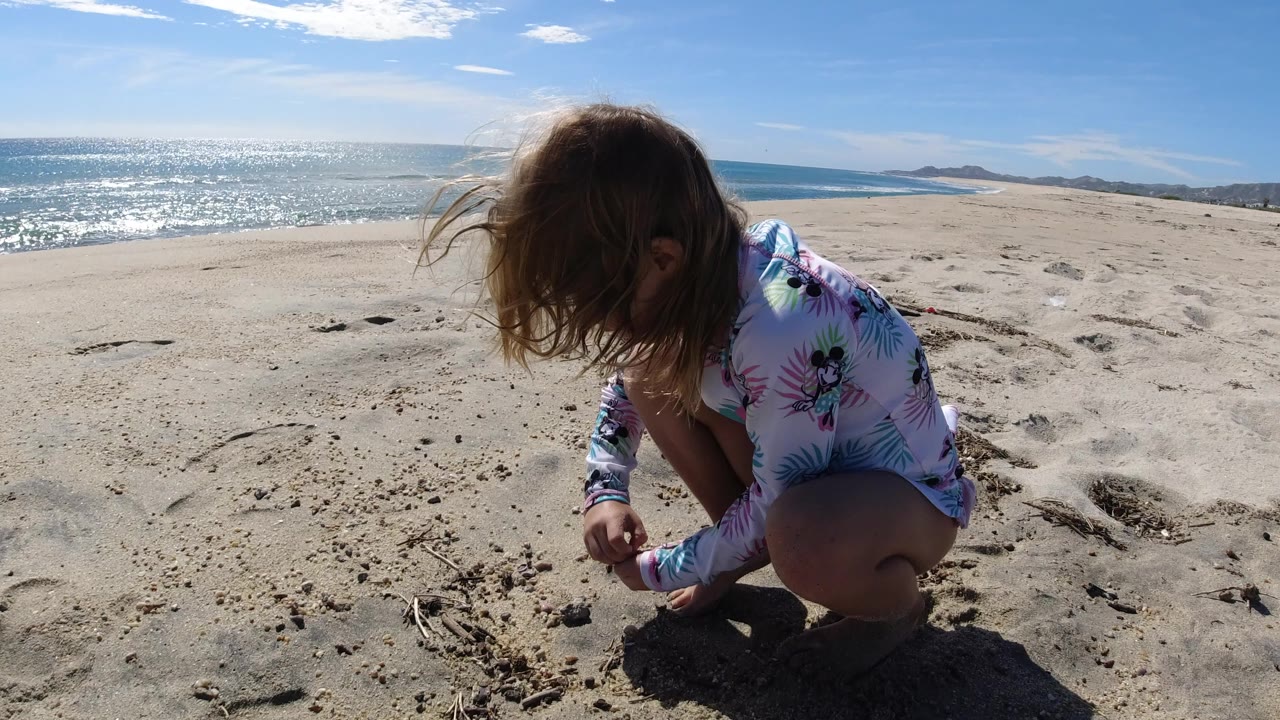 A young girl crouches on a Los Cabos beach, head down with windblown hair as she reaches toward small pieces in the sand near the bright ocean.