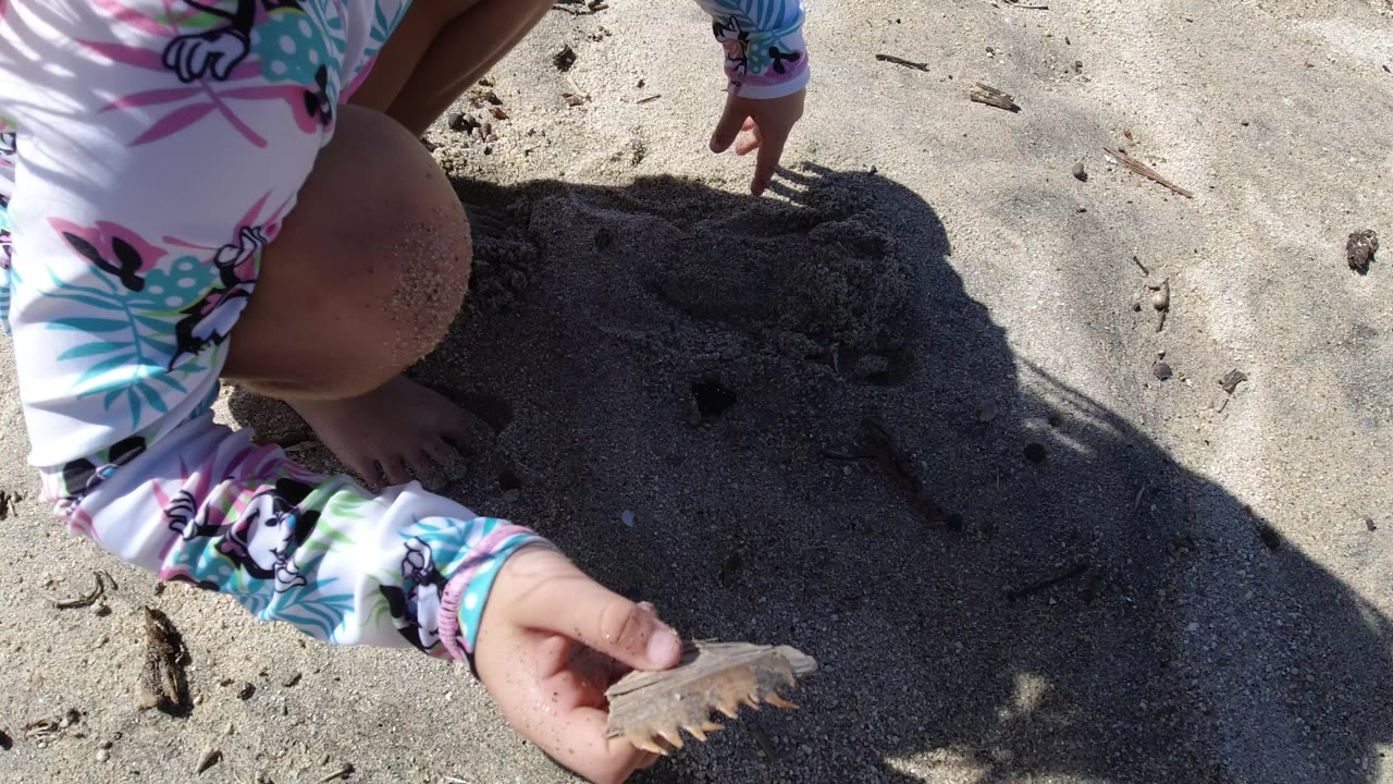 A small girl in a bright patterned swimsuit crouches over Los Cabos beach sand while holding a shell near small holes and strong shadow.