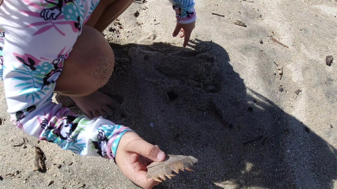 The girl kneels lower over the sand in Los Cabos, with her shell hand near the bottom edge and several small dug holes visible beside her shadow.
