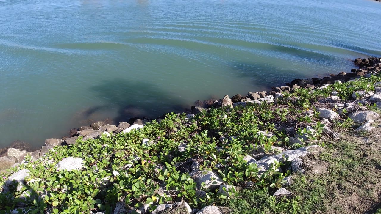 Canal edge with smooth water, dark rocks, and shoreline greenery.