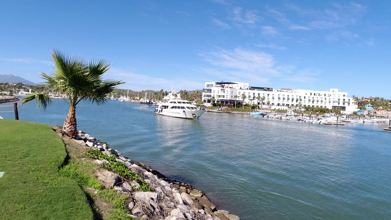 Los Cabos harbor view with a foreground palm tree, rocky shoreline, white yacht on blue water, waterfront buildings, distant hills, and no visible people.