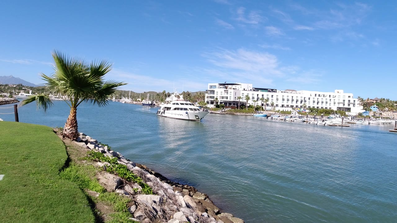 Foreground palm and sloped rock bank frame a Los Cabos marina scene with a white yacht, docked boats, bright buildings, blue sky, and no visible people.