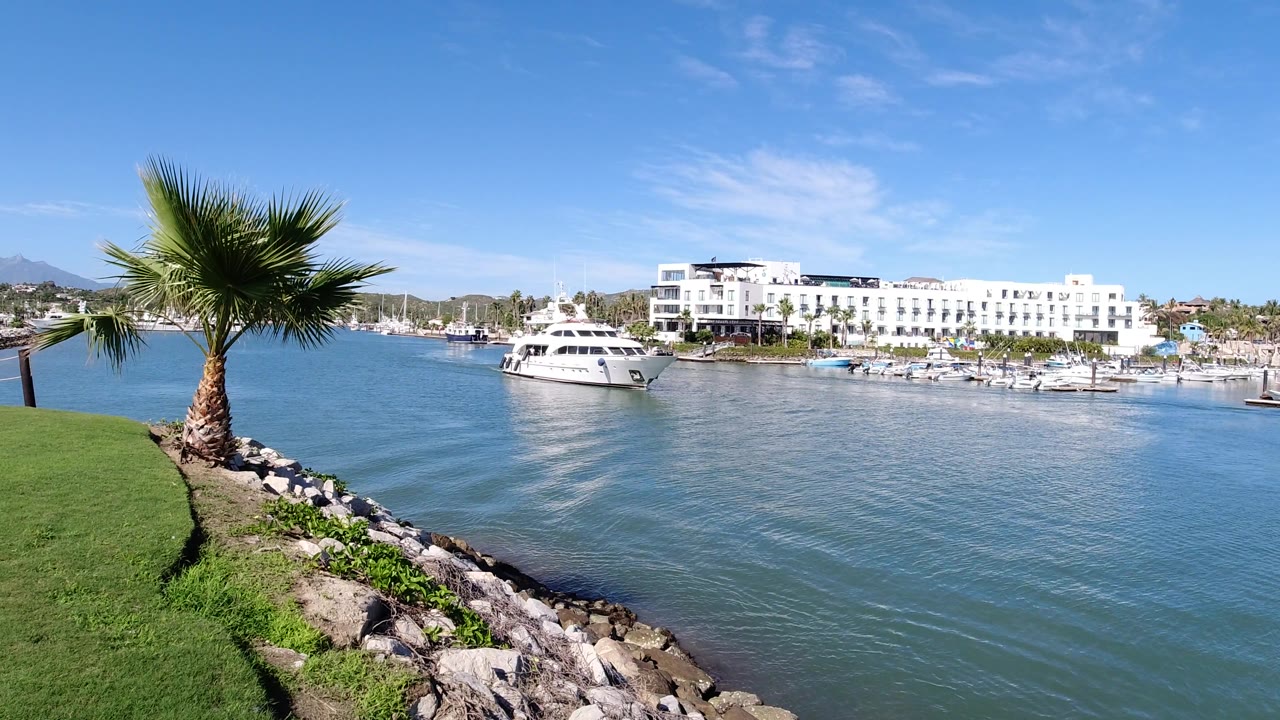 White yacht on harbor water with palm tree and marina buildings