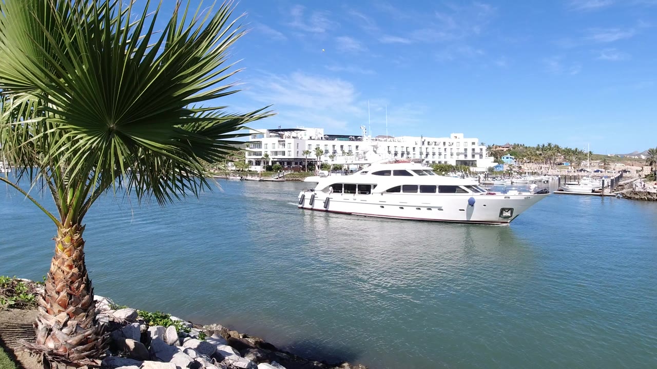 At 0:00, a white yacht sits midframe on blue-green canal water in Los Cabos, Mexico, with a large palm trunk and fronds dominating the left foreground and no visible people.