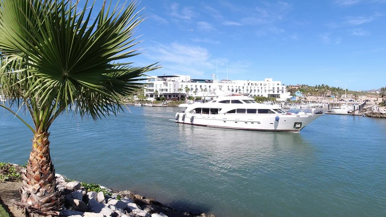 At 0:01, the white yacht remains centered on the Los Cabos canal while palm fronds fill the upper left and white buildings line the far shore, with no visible people.