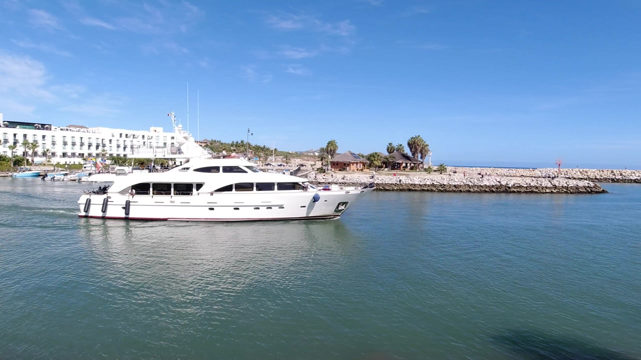 The yacht appears slightly farther right on calm Los Cabos harbor water, with its reflection below, white buildings to the left, palms on shore, and no visible people.