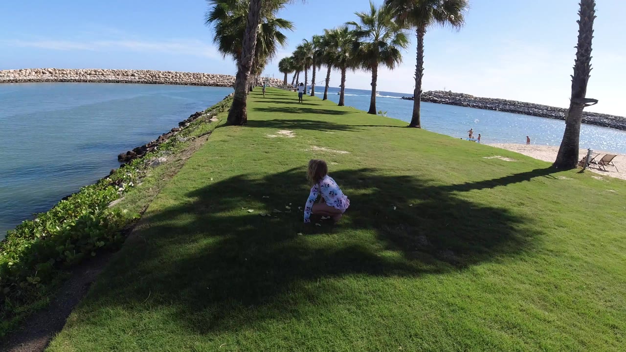 Blonde child crouching on grass near marina water and palm trees.