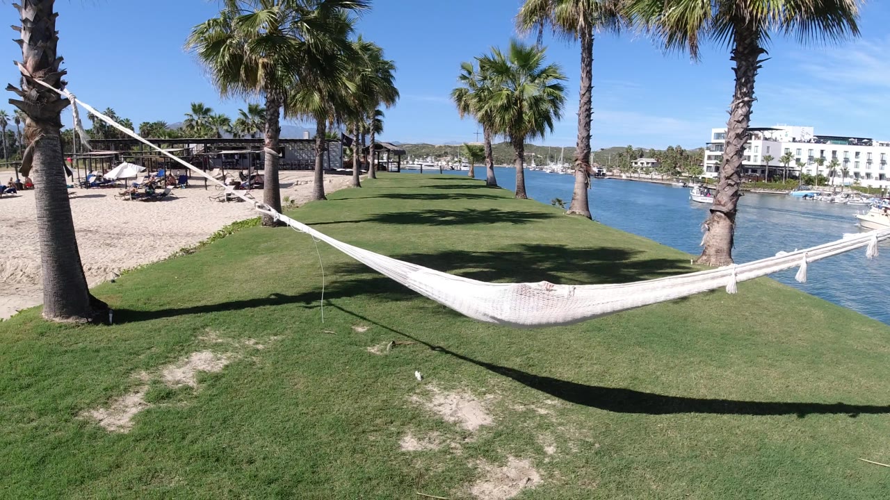 Palm-framed hammock beside a narrow waterfront with a white building across the water.