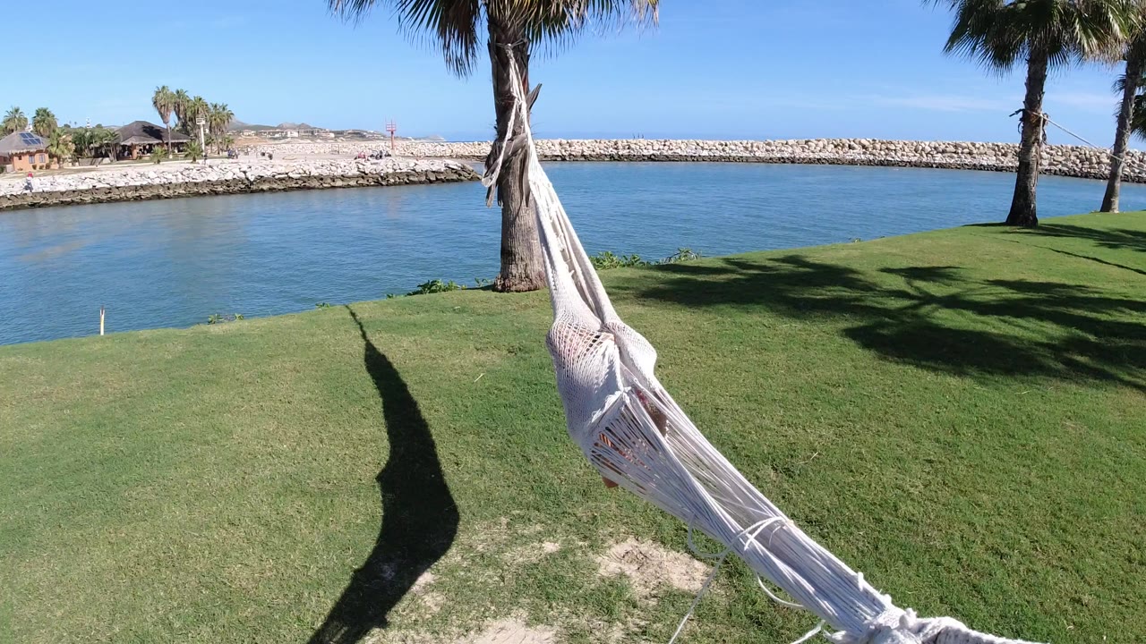 White hammock on grass beside blue water and palm trees